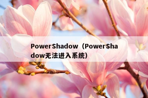 PowerShadow（PowerShadow无法进入系统）