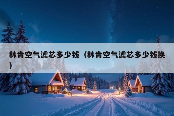 林肯空气滤芯多少钱（林肯空气滤芯多少钱换）