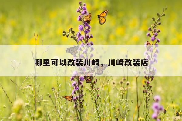 哪里可以改装川崎，川崎改装店