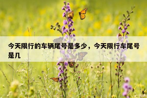 今天限行的车辆尾号是多少，今天限行车尾号是几