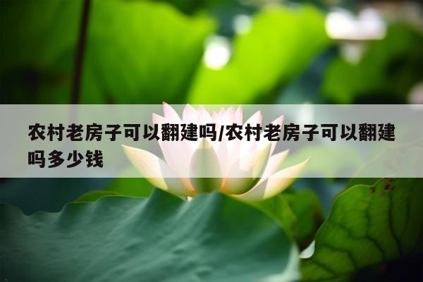 农村老房子可以翻建吗/农村老房子可以翻建吗多少钱