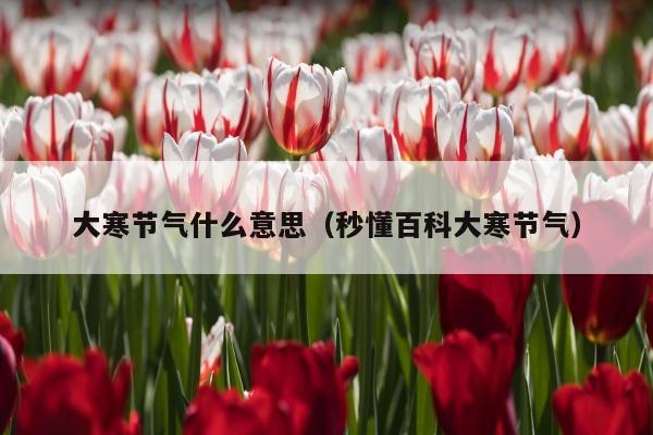 大寒节气什么意思（秒懂百科大寒节气）