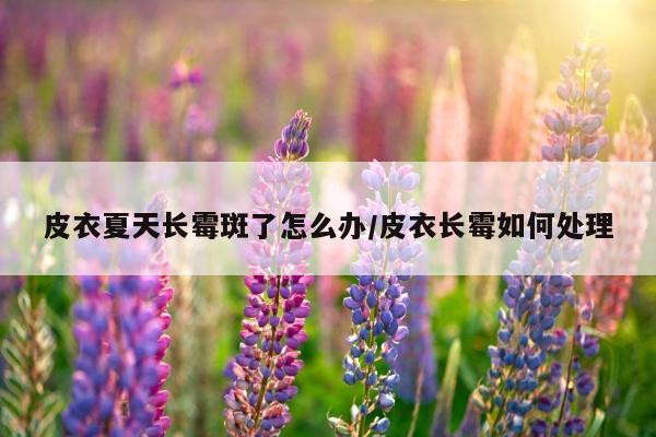 皮衣夏天长霉斑了怎么办/皮衣长霉如何处理