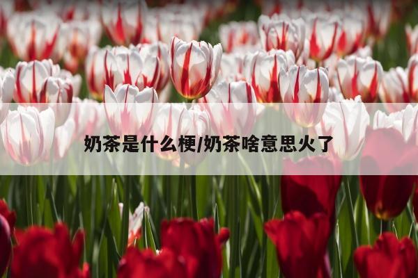 奶茶是什么梗/奶茶啥意思火了