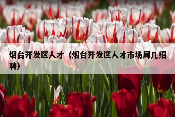 烟台开发区人才（烟台开发区人才市场周几招聘）