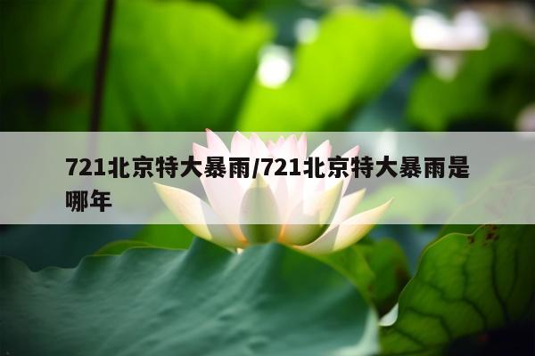 721北京特大暴雨/721北京特大暴雨是哪年