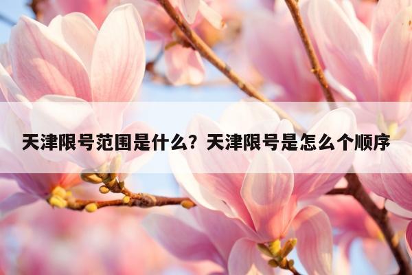 天津限号范围是什么？天津限号是怎么个顺序