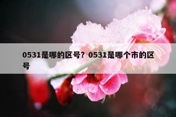 0531是哪的区号？0531是哪个市的区号