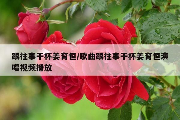 跟往事干杯姜育恒/歌曲跟往事干杯姜育恒演唱视频播放